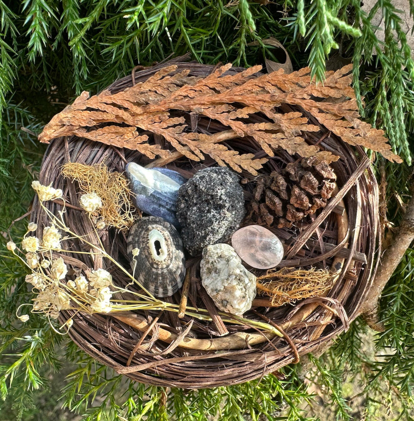 Nature allies in Beaverton, OR