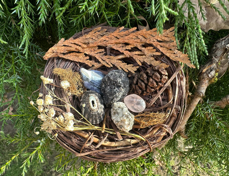 Thank you: Nature friends, Cypress and nearby Sycamore tree (Location: Beaverton, OR)