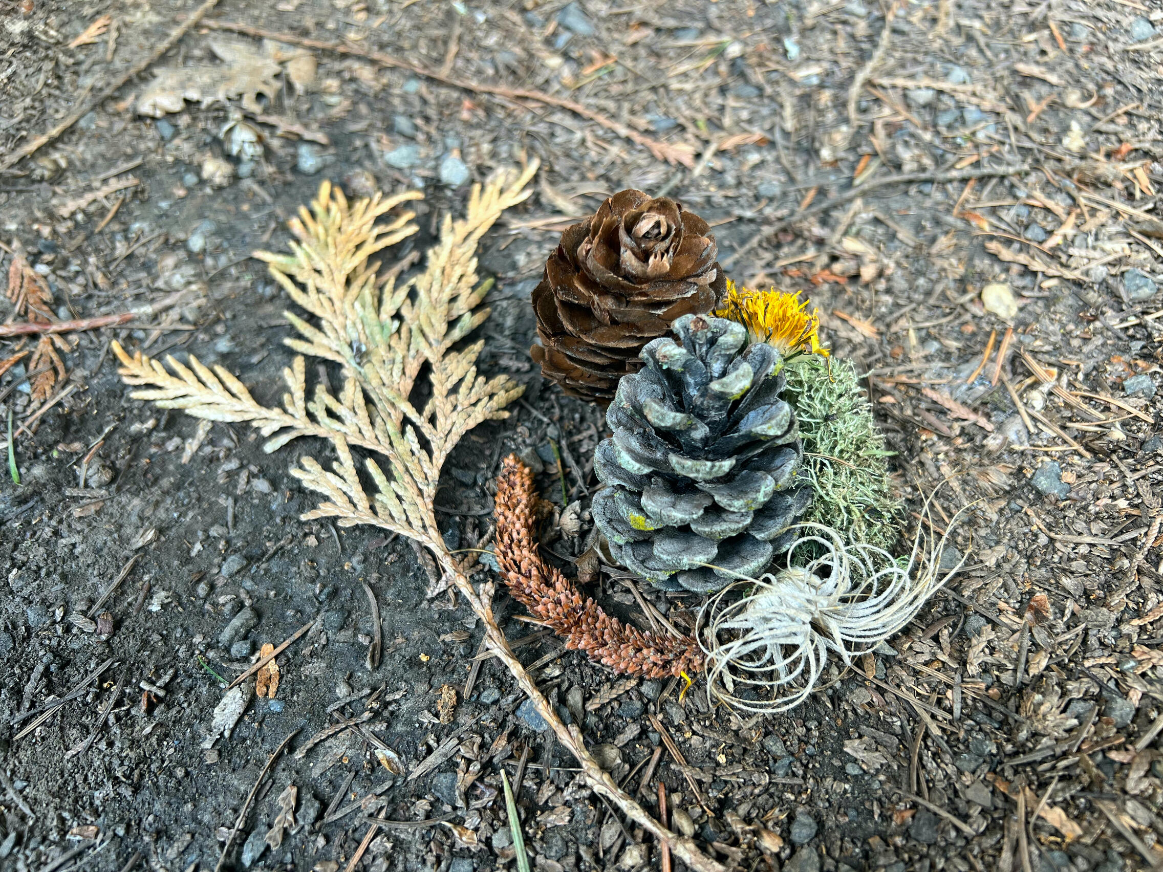 Nature Allies in Grief Therapy